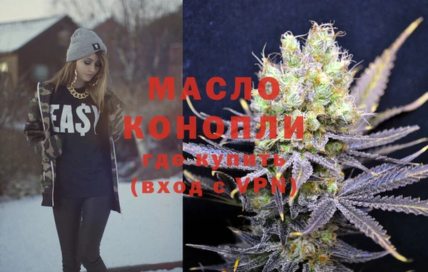дживик Новозыбков