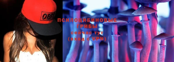 мдма Няндома