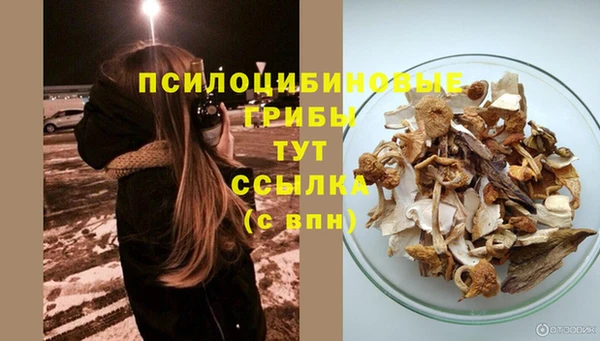 мдма Няндома