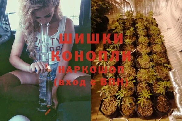 ПСИЛОЦИБИНОВЫЕ ГРИБЫ Нязепетровск