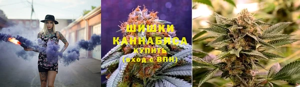 ПСИЛОЦИБИНОВЫЕ ГРИБЫ Нязепетровск