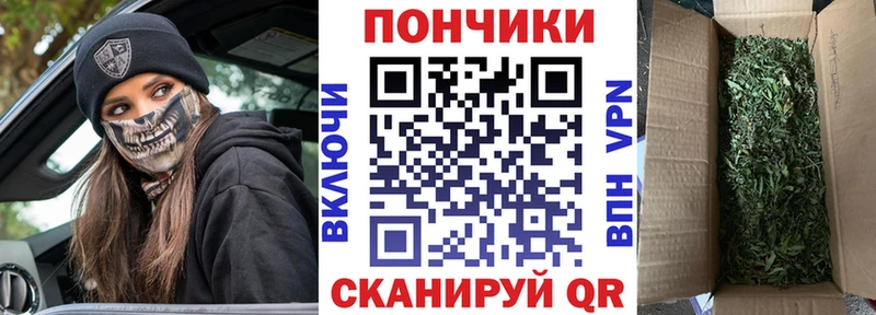 Бошки Шишки LSD WEED Луза
